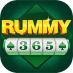 365 Rummy